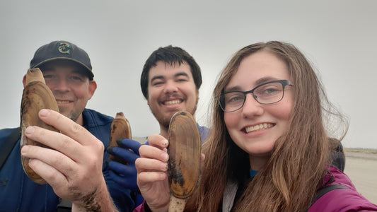Razor Clams: A Washington State Treasure