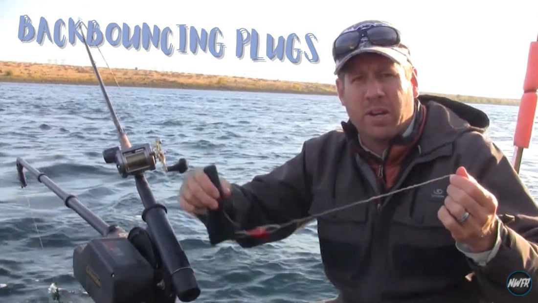 Backbouncing Plugs when Fishing Fall Kings