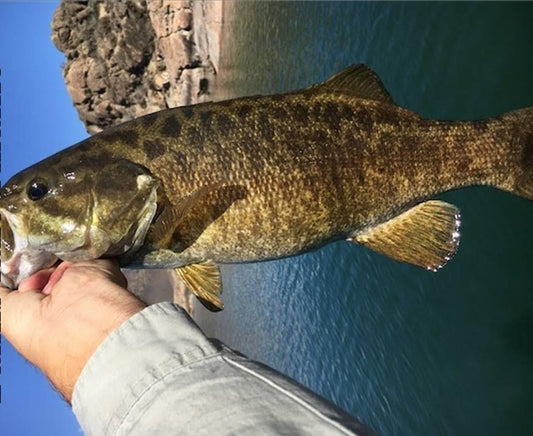 Ten Prime Bass Destinations in the Inland Northwest